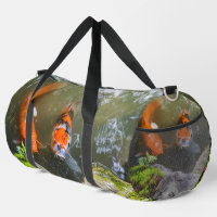 Poisson Koi dans un étang