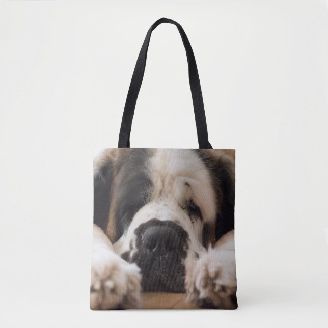 Sac de St Bernard (Devant)