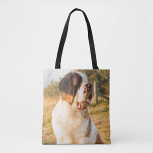 Sac de St Bernard