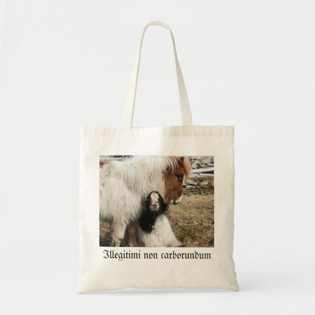 Sac de Tiddles et de tempête (Devant)