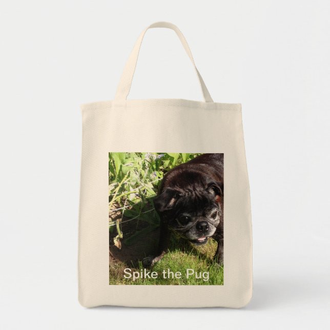 Sac de transitoire (Devant)