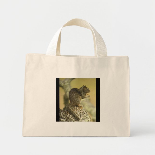 Sac d'écureuil terrestre Beechey (Devant)