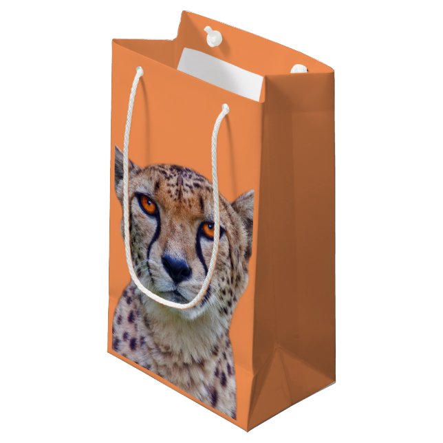 Sac d'or de cadeau de yeux (Devant Angle)