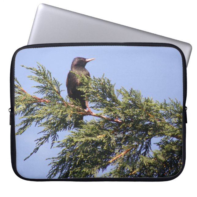 Sac d'ordinateur portable Starling in a Spruce Tre (Devant)