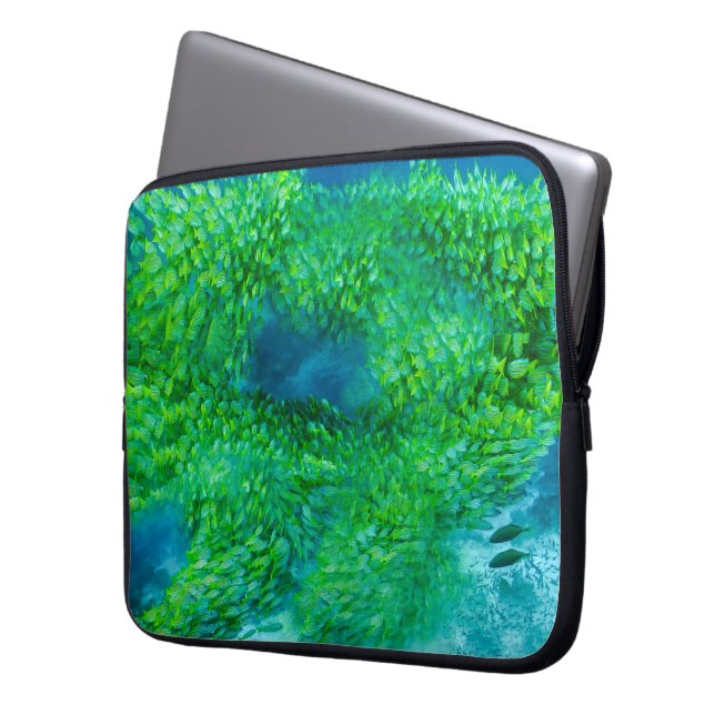 Sac électronique (devant gauche)