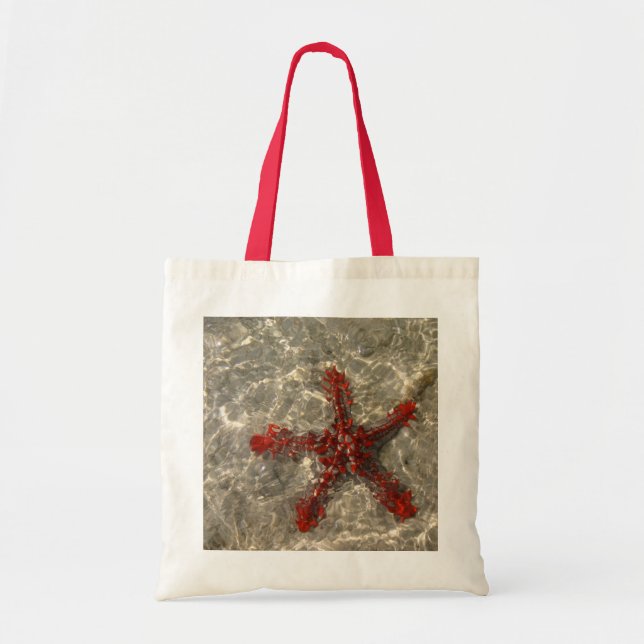Sac en forme d'étoile de mer (Devant)