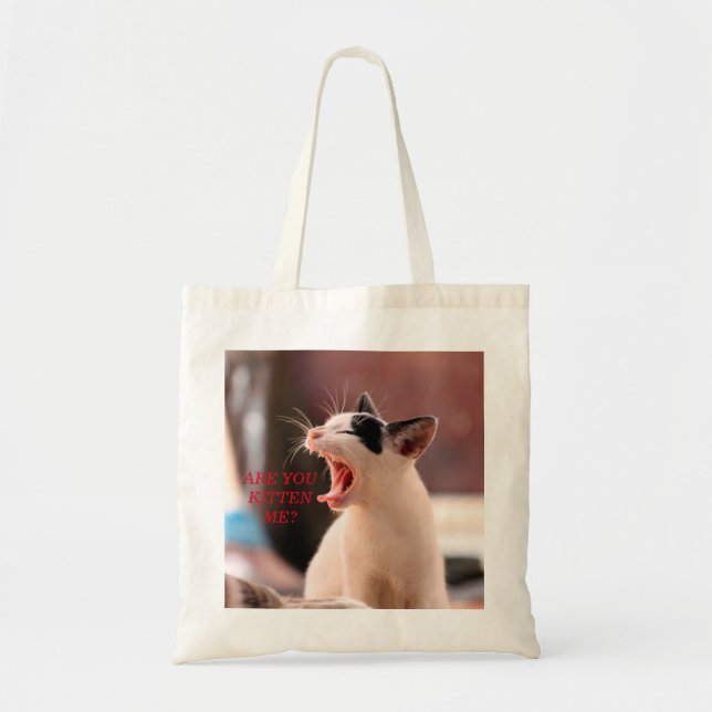 Sac fourre-tout à chat (Devant)