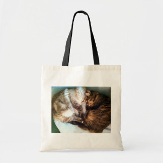 Sac fourre-tout à chats de sommeil