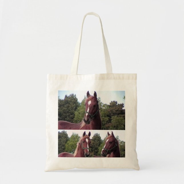 Sac fourre-tout à cheval (Devant)