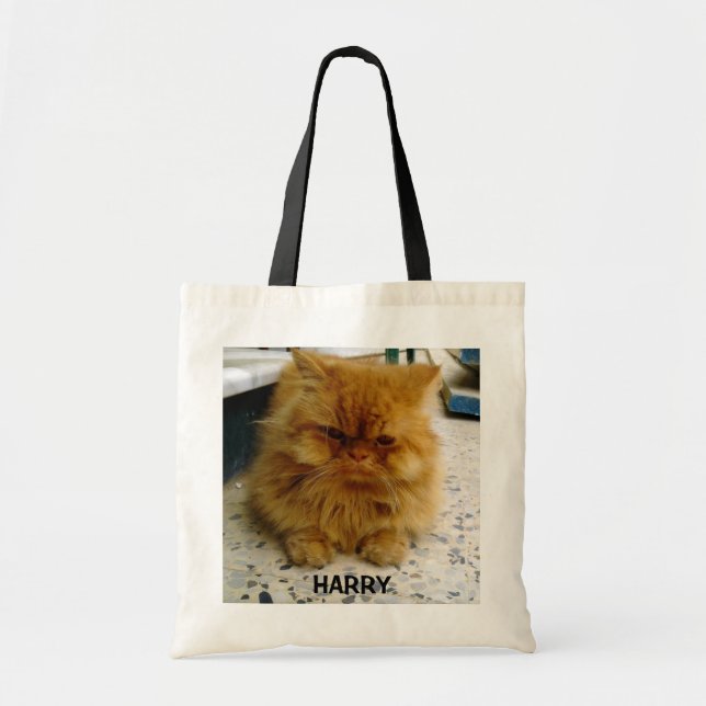 SAC FOURRE-TOUT À HARRY (Devant)