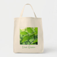 sac fourre-tout bio en toile "verte en direct"