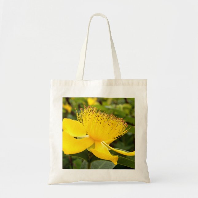 Sac fourre-tout de calcium hypericum (Devant)