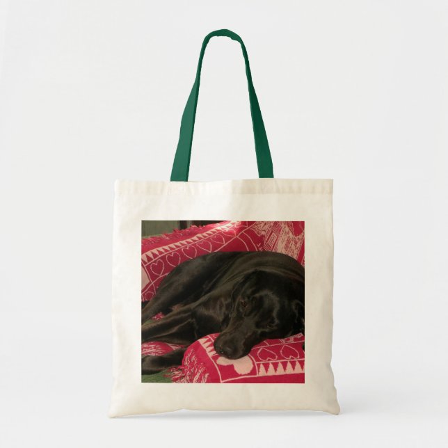 Sac fourre-tout de chien endormi (Devant)