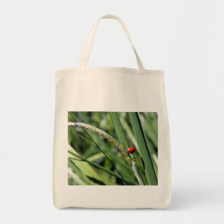 Sac fourre-tout de coccinellidae