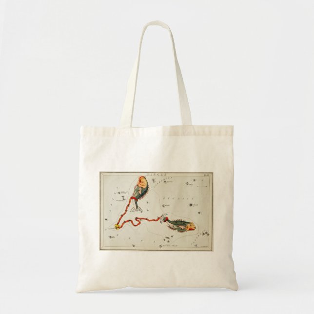 Sac fourre-tout de Poissons (Devant)