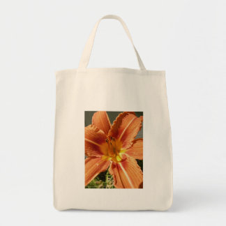 Sac fourre-tout du jour