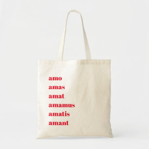 Sac fourre-tout latin, Amo Amas Amat, Thème Schoo