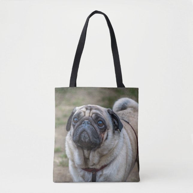 Sac fourre-tout pour chien carlin (Devant)