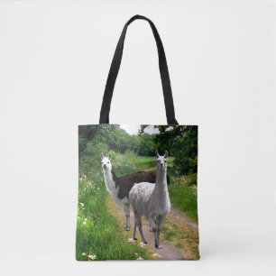 Sac fourre-tout "Stella & The Pirate"