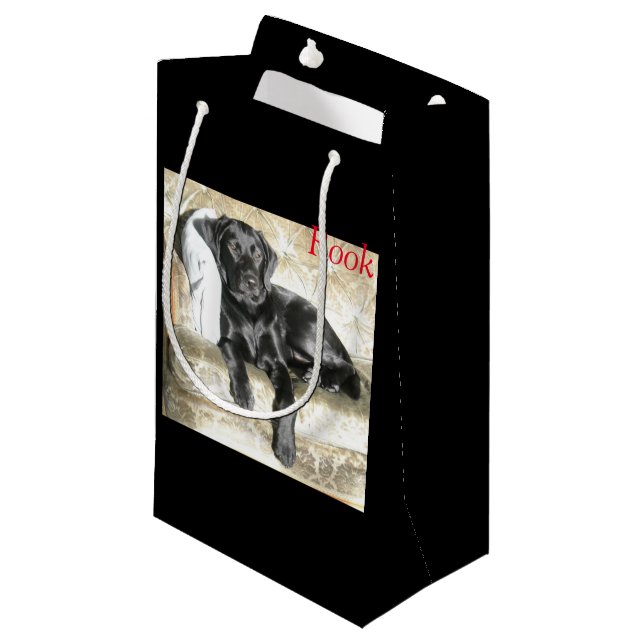 Sac Labradors de cadeau (Devant Angle)