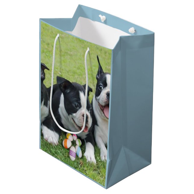 Sac moyen de cadeau de terriers de Pâques Boston (Devant Angle)
