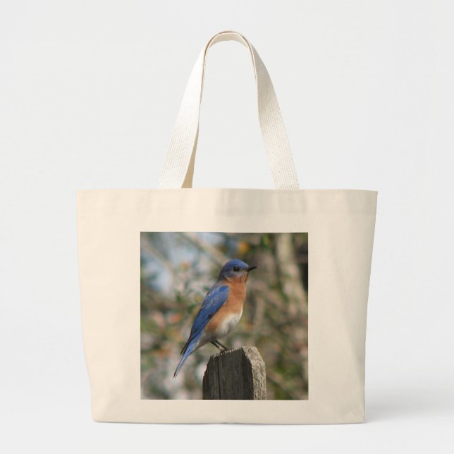 Sac oriental de mâle d'oiseau bleu (Devant)