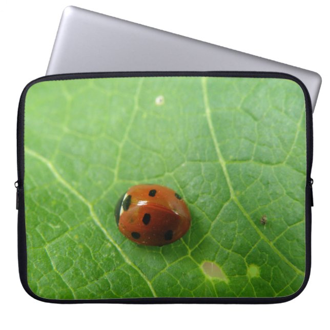 Sac portable Ladybug (Devant)