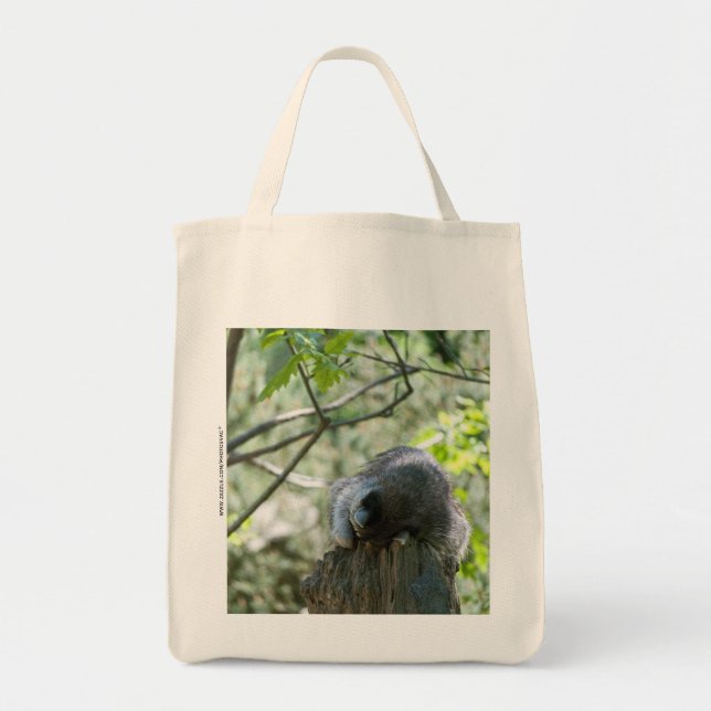 Sac Raton Laveur (Devant)