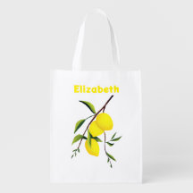 Branche de citron jaune gras