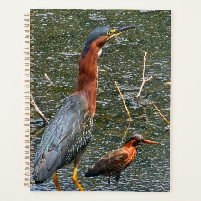 Sac réutilisable pour épicerie Green Heron (Devant)
