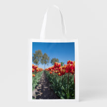 Tulipes jaunes et rouges sur un champ