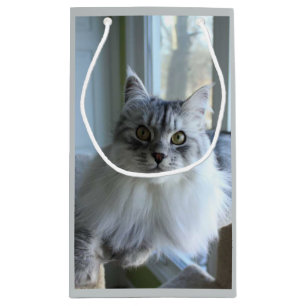 Sac sibérien argenté émouvant de cadeau de chat