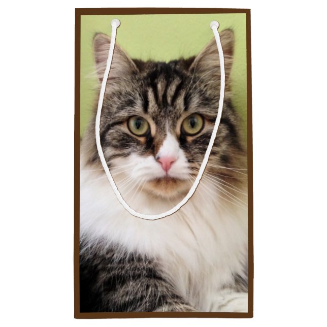 Sac sibérien de cadeau de chat (Dos)