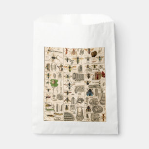 Sachets En Papier Abeille Insecte Bug Wasp Nature Peinture des abeil