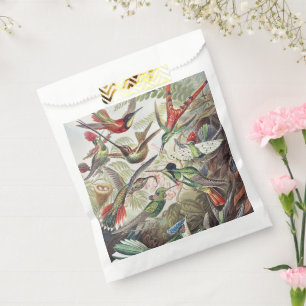 Sachets En Papier Affiche vintage d'Ernst Haeckel représentant des c