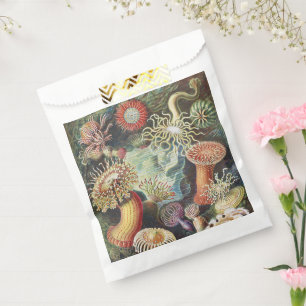 Sachets En Papier Anémones de mer de Haeckel Collage d'art de vie na