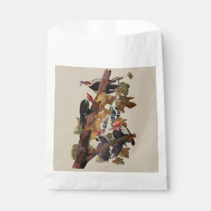 Sachets En Papier Audubon Peinture d'Oiseaux Pic Pilé