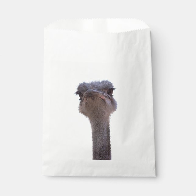Sachets En Papier autruche (Devant)