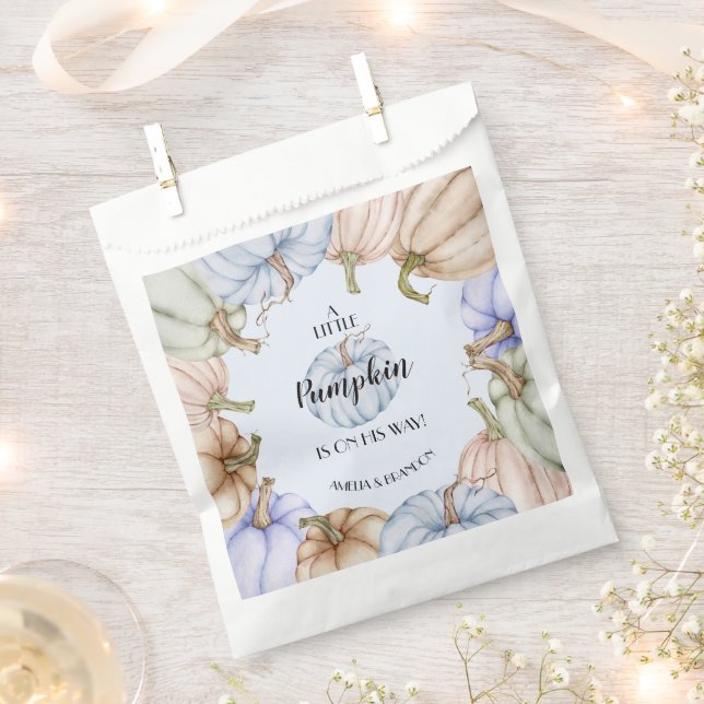 Sachets En Papier Baby shower de garçon bleu Citrouille Pastel (Coupé)