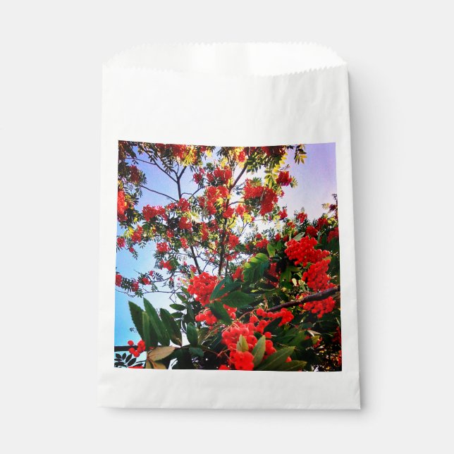 Sachets En Papier Baies rouges (Devant)