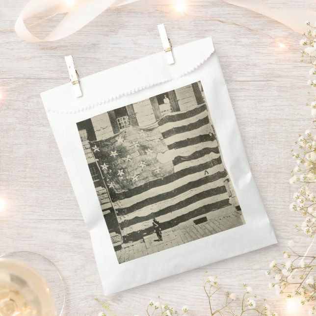 Sachets En Papier Bannière étoilée : le drapeau américain en exposit (Coupé)