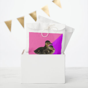 Sachets En Papier Bébé Canards sur framboise rose et sorbet pourpre