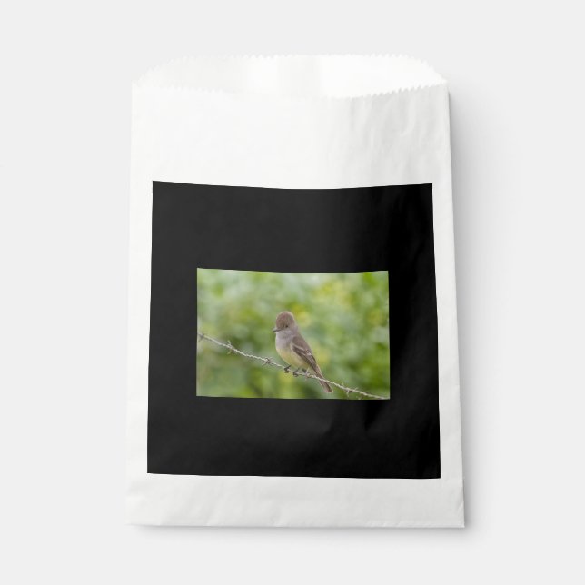 Sachets En Papier Capteur (Devant)