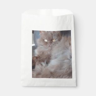 Sachets En Papier Cat croustillant