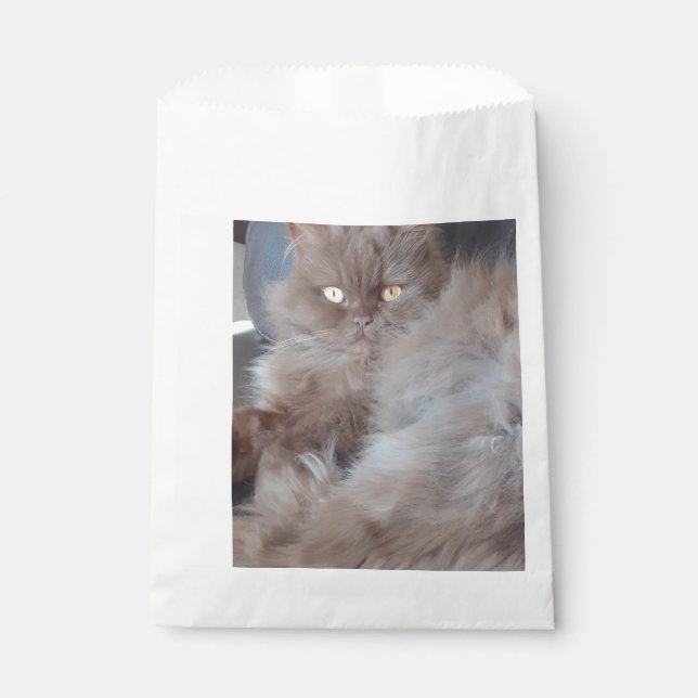 Sachets En Papier Cat mignon (Devant)