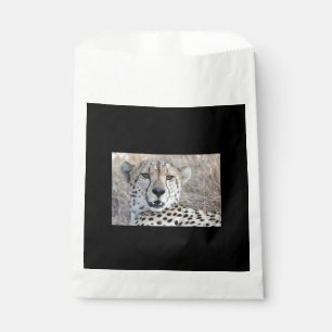 Sachets En Papier Cheetah Portrait
