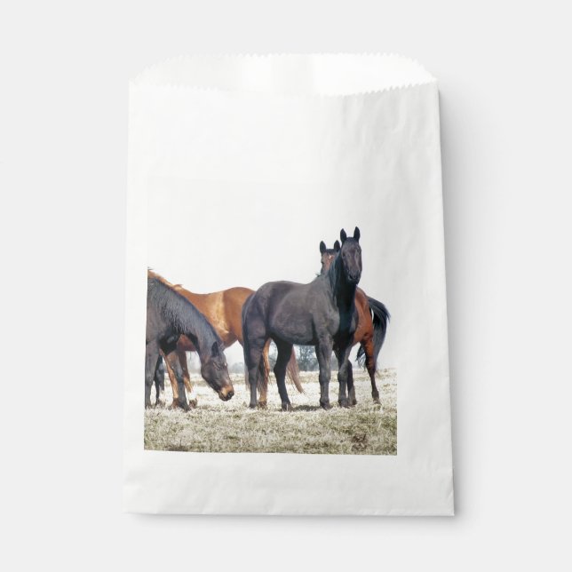 SACHETS EN PAPIER CHEVAUX (Devant)