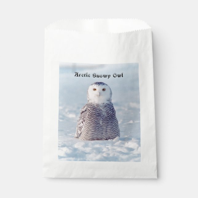 Sachets En Papier Chouette des neiges de l'Arctique de l'Alaska (Devant)