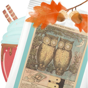 Sachets En Papier Chouette vintage chou mignonne automne artisanal p