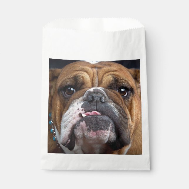 Sachets En Papier Coussin de jet de Bouledogue Anglais (Devant)